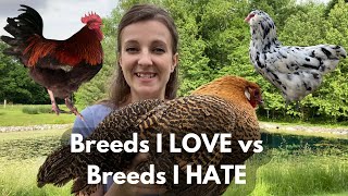 3 BEST & 3 WORST CHICKEN BREEDS | Opinions of a Breeder & Homesteader