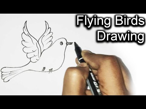 See How To Draw A Flying Bird | Flying Birds Drawing | Drawing Tutorial Episode 7 | Rupkothar Golpo