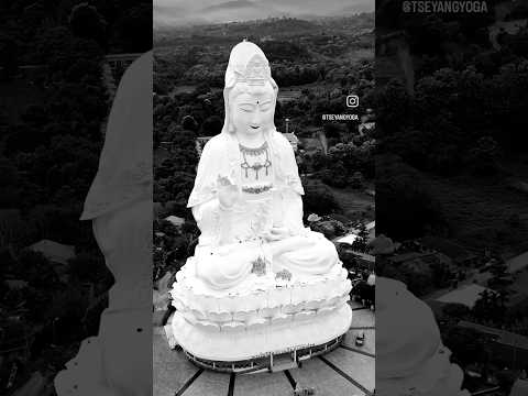 Short clip from my recent vlog. #chiangraithailand #tibetanvloger