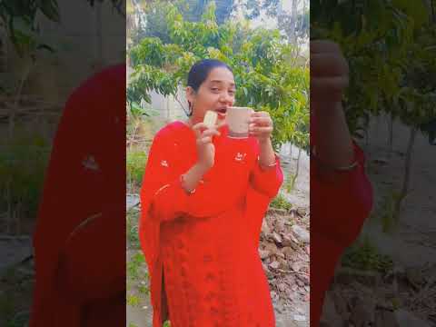 তুই যে আমার বিস্কুট তুই আমার চা #viralvideo #shorts #nishebd