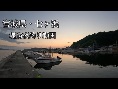 堤防夜釣り動画【宮城県七ヶ浜町】