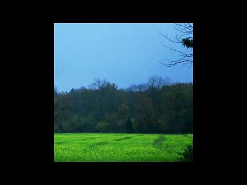 Hazard || Wood / Field / Bridge (2000) Full Album