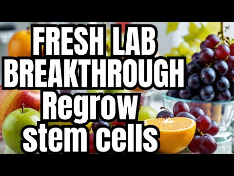 REGROW your Stem Cells with these 5 fruits!