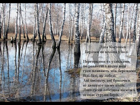 Ліна Костенко Берізки по коліна у воді  Вчимо вірш он-лайн з дітьми 5-6-ти років