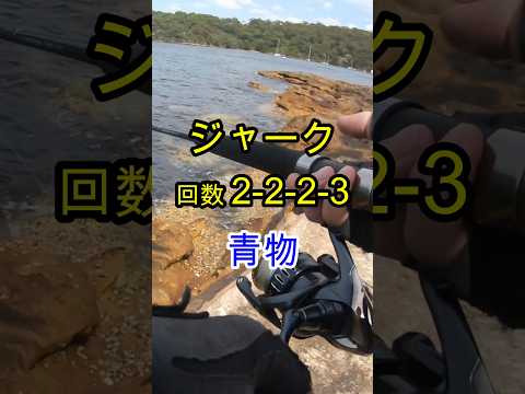 しゃくりのリズムを崩したら #ショアジギング   #fishing #釣り