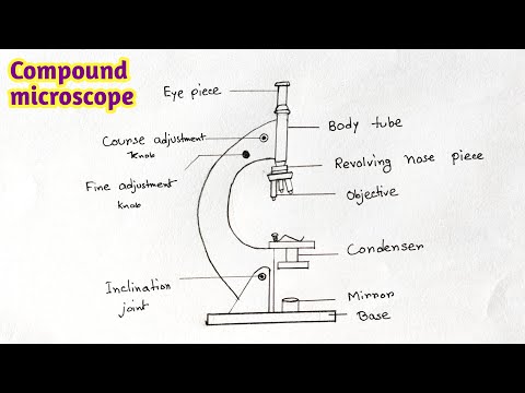 Scientific Compound Microscope easy | Compound Microscope drawing | Biology Practical Microscope