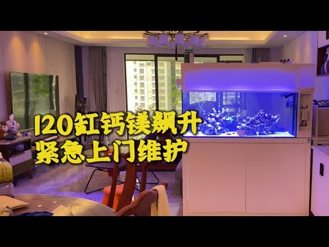 长沙梅溪湖120隔断缸钙镁飙升 上门紧急维护