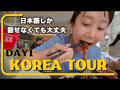 女ひとりで韓国ソウルへ! 成田空港でトラブル発生!? ジャージャー麺を食べたりロッテワールドに行ったり東大門でショッピング! #Koreavlog