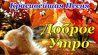 С Добрым Утром🍂🍁🍂Красивая Песня Сергея Чекалина! Обязательно Послушайте!