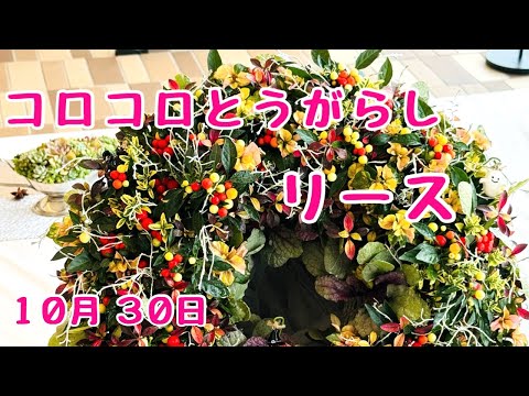 秋のカラフルリーフかわいいコロコロとうがらしの　#リース　　#プランツギャザリング　2024年10月30日