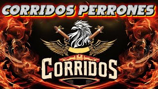 MIX CORRIDOS PERRONES 2025 - LOS MEJORES CORRIDOS PERRONES 2025 - LO MEJOR DE LOS CORRIDOS MEXICANOS