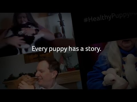 Healthy Puppy Month