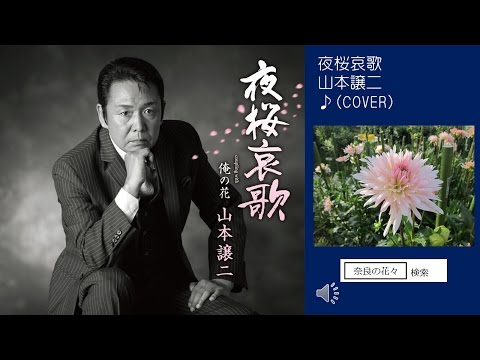 夜桜哀歌　山本譲二　♪COVER　uguis karaoke