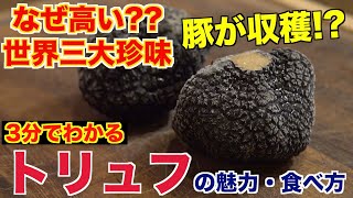 Video that shows in one shot why truffles are so expensive.