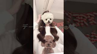 デート前ルーティン🐩🤍ゆるゆる準備 vlog🩵🎀デートも楽しかった👦🏻✨（クリスマス前の動画です🎞️） #vlog  #モーニングルーティン #デート準備 #生活音 #メイク