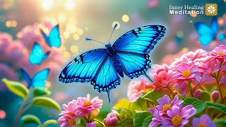 BLUE BUTTERFLY 1111 HZ ~ RECEIVE THE HIGHEST VIBRATIONS, LOVE, WEALTH AND BLESSINGS