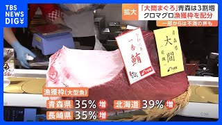 クロマグロ漁獲枠拡大で「大間マグロ」の青森は35％増加　水産庁が国内配分案を公表｜TBS NEWS DIG