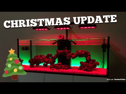 Christmas update WaterBox 180 + QT tank