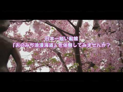 【4K】尾道桜・おのみち浪漫海道　商工会議所前の早咲き桜！