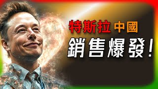 【Tesla每日快訊】 特斯拉中國銷售爆發！單週18,600輛，2024年次高紀錄！ 🔥LFP電池/Cyber​​truck/Powerwall（2024/12/04）