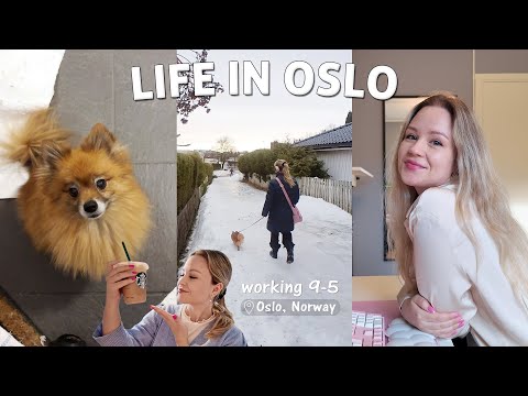 A Winter Day in the Life Working 9-5 In Oslo | Icy, Snowy Days In Norway