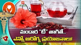 Top 5 Health Benefits of Hibiscus Tea | Hibiscus Benefits in Telugu | YOYO TV Health