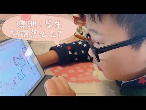 澳洲疫情反复小学生也开始在家上网课，孩子为啥这么开心？看看去