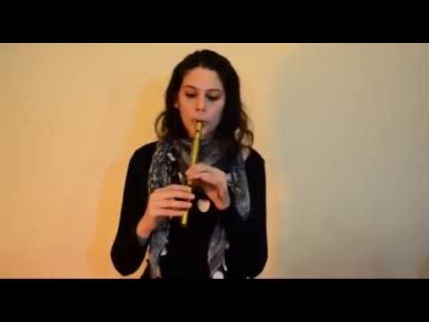 Pamela Schweblin Tin Whistle