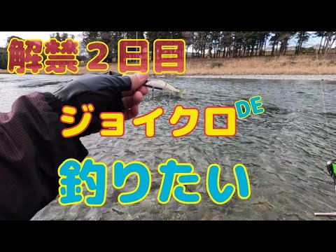 本流アメゴ(アマゴ)   解禁２日目 ジョイクロ70でヒット！