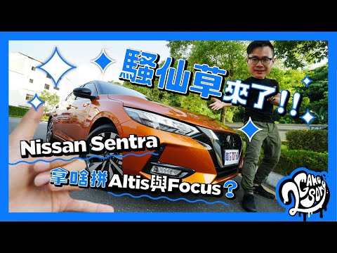 騷仙草來了😯 Nissan Sentra 拿啥拼 Altis 與 Focus？💁