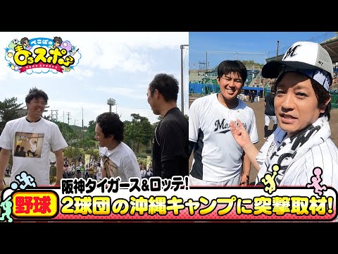 【プロ野球】プロ野球キャンプ突撃取材！【ぺこぱのまるスポ】