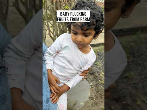 Baby at fruit farm #telugushorts #minivlog #hyderabadvlogs #teluguvideos #vlog #nellorevlogs #family