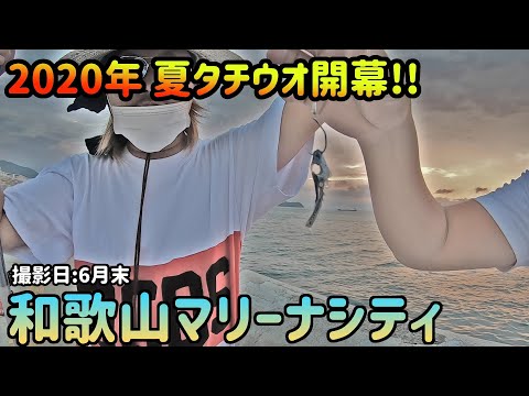 【マリーナシティ大波止】2020年夏タチウオ釣り開幕!!【和歌山】 ~動画後半はうな重ならぬタチ重に挑戦!!~