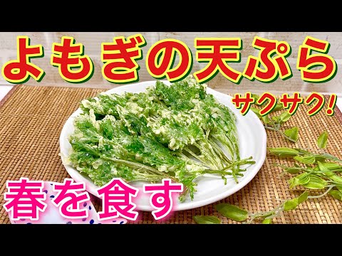 よもぎの天ぷらの作り方♪苦みも無く良い香りがしてサクサクで美味しい春の味覚です。天ぷら粉と水だけで簡単に出来ます。期間限定なので是非作ってみて下さい。