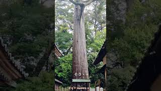 事任八幡宮  龍神社20220427(4)