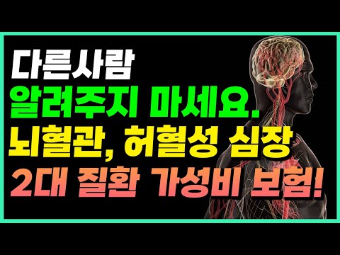 2대질병보험(뇌혈관/심혈관) 말도 안되는 보험료?! (다른사람 알려주지 말라고..?)