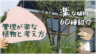 【保存版】管理が楽な植物と考え方🔰～中木低木下草60品種紹介～