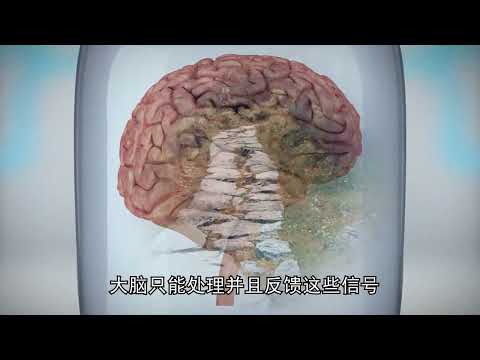 十大悖論：缸中大腦｜國語｜普通話👍