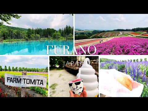 【北海道】夏オススメ札幌発バスツアー富良野・美瑛を満喫 / Hokkaido, Furano and Biei bus tour