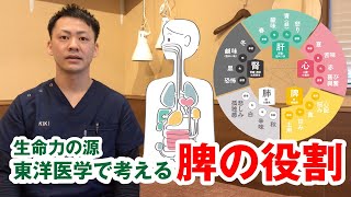 『東洋医学』脾の役割について〜Part1〜