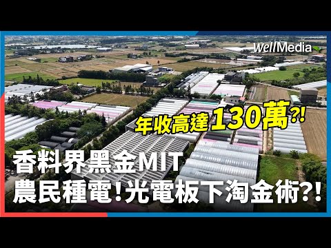 農民種田也種電！年收竟高達130萬？！光電板下的香料皇后MIT 台灣種的香草更香？【Well Talk】#農電共生