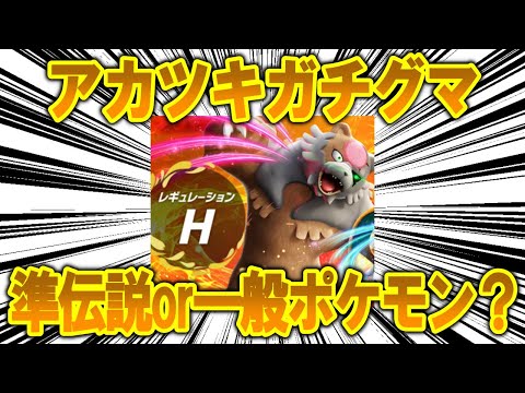 【徹底討論】ガチグマ(アカツキ)は準伝説？一般ポケモン？【ポケモン解説】