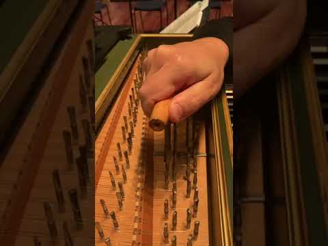 Why a harpsichord needs tuning all the time