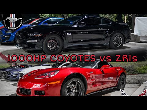 (The Ultimate Mustang vs Corvette Vid) 1,000HP+ Twin Turbo Coyotes take on Texas fastest ZR1s