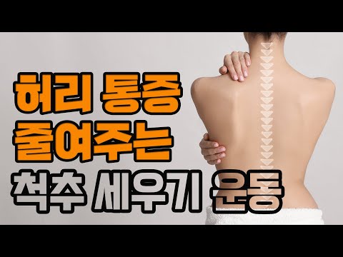 무너진 척추 바로 세우고 굽은 등 펴주는 5분 스트레칭! - 세모핏 #142ㅣ허리통증 굽은등 말린어깨 기초체력 5분운동 홈트