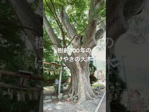 弥彦神社境外末社上諏訪神社　#弥彦神社 #上諏訪神社 #彩いろどり旅 #新潟旅行 #開運 #パワースポット #弥彦温泉 #shorts