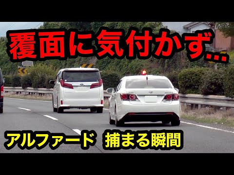 【覆面に全く気付かず...】覆面パトカーがアルファードを捕まえる瞬間‼️　[取り締まり 高速道路 スカッと]