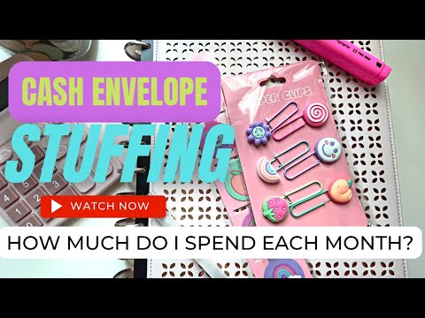 Cash Stuffing - Monthly Subscriptions! | Budget With Me - REAL NUMBERS