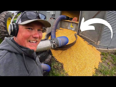 MANAGING YOUR GRAIN INTO THE SUMMER MONTHS - DON'T LET THIS HAPPEN TO YOU!