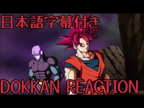 ドッカンバトル LR ヒット＆悟空 リアクション Dokkan LR Hit&Goku Reaction